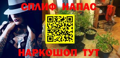 гидра Кулебаки